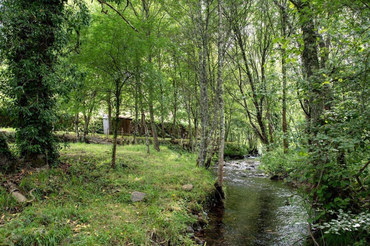 Quinta Da Rabacosa - Turismo Rural Castro Daire Exterior foto
