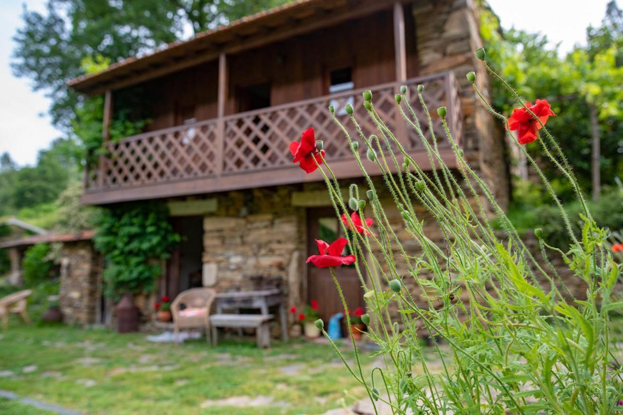 Quinta Da Rabacosa - Turismo Rural Castro Daire Exterior foto